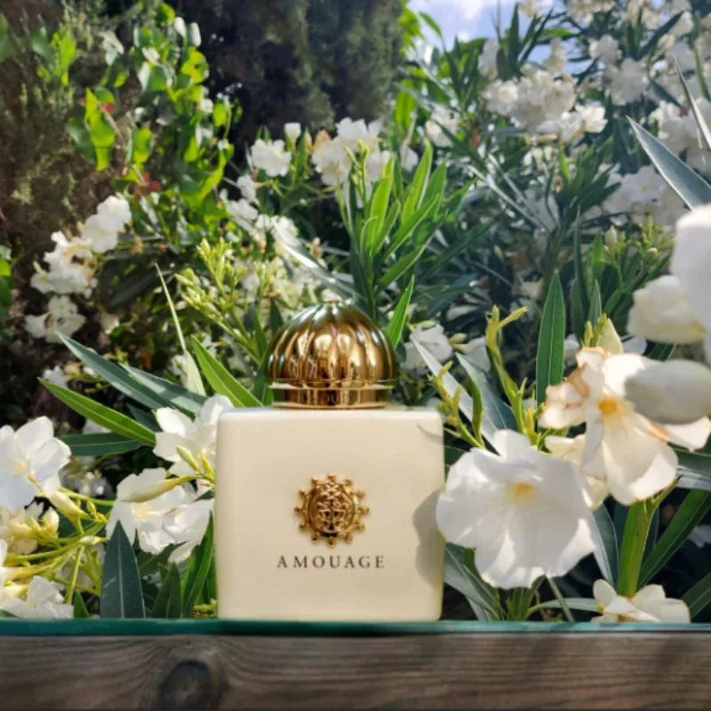 Amouage Guidance 46 Extrait De Parfum – Luxury Niche Fragrance