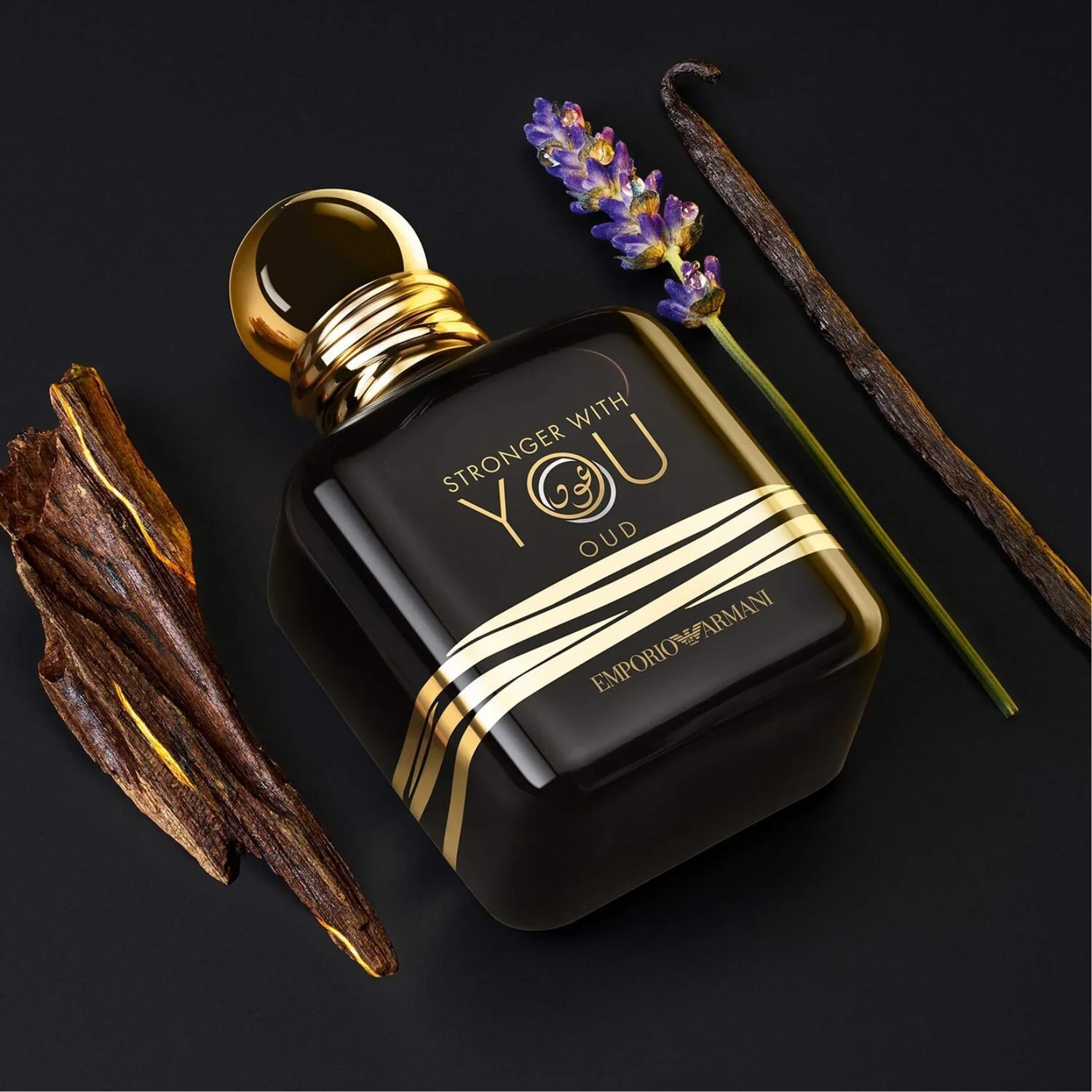Emporio Armani Stronger With You Amber &amp; Woody Fragrance
