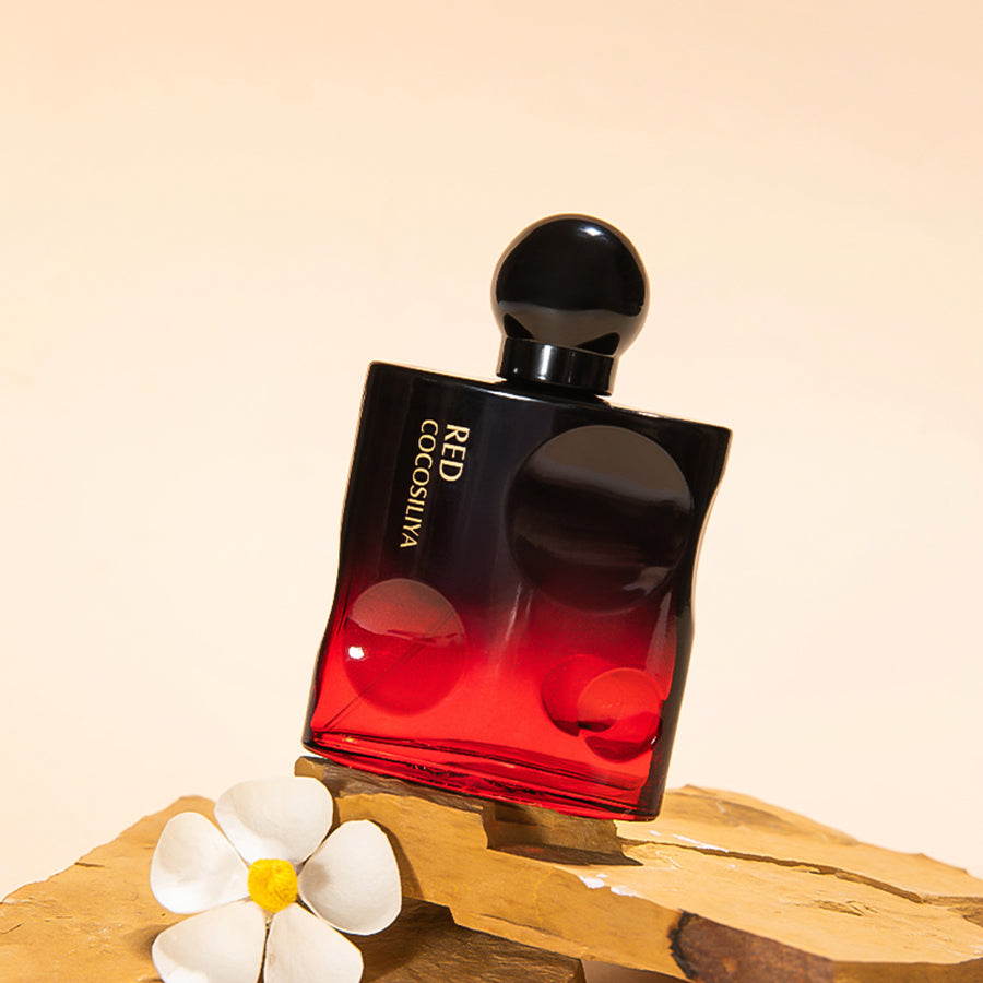 Temptation niche perfume gift idea – unique luxury fragrance